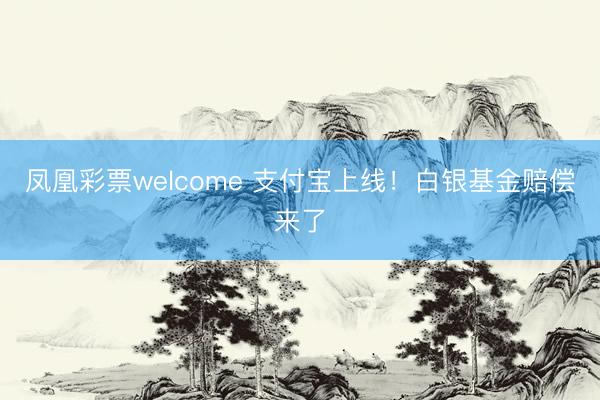 凤凰彩票welcome 支付宝上线！白银基金赔偿来了