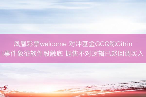凤凰彩票welcome 对冲基金GCQ称Citrini事件象征软件股触底 抛售不对逻辑已趁回调买入