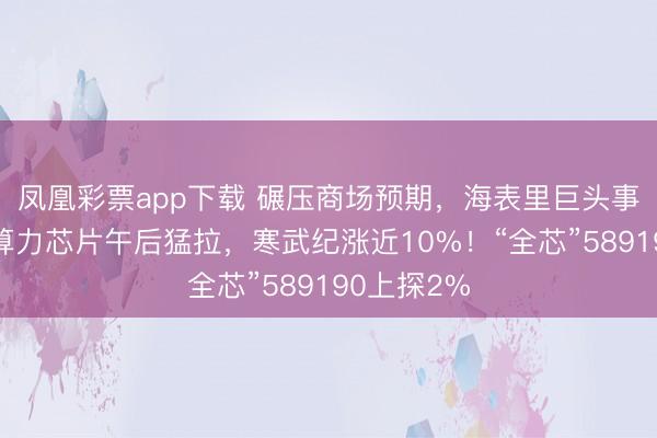 凤凰彩票app下载 碾压商场预期，海表里巨头事迹共振！算力芯片午后猛拉，寒武纪涨近10%！“全芯”589190上探2%