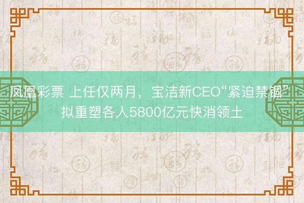 凤凰彩票 上任仅两月,宝洁新CEO“紧迫禁锢” 拟重塑各人5800亿元快消领土