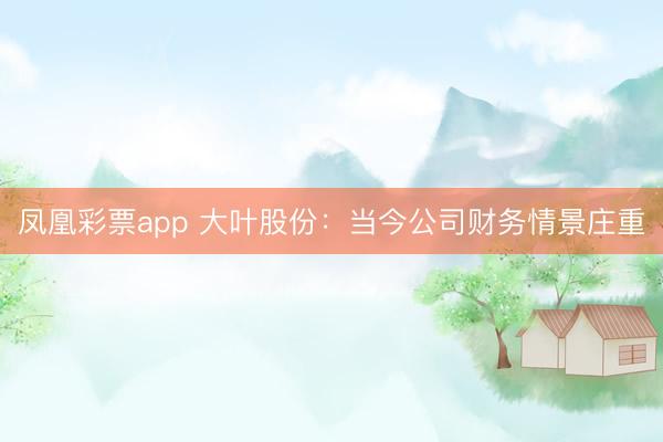 凤凰彩票app 大叶股份：当今公司财务情景庄重