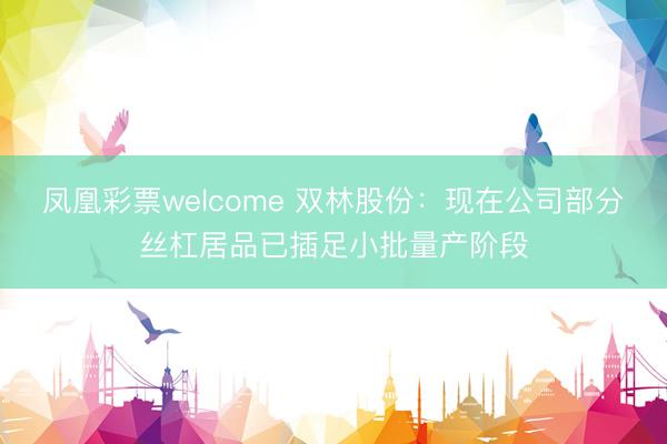 凤凰彩票welcome 双林股份：现在公司部分丝杠居品已插足小批量产阶段