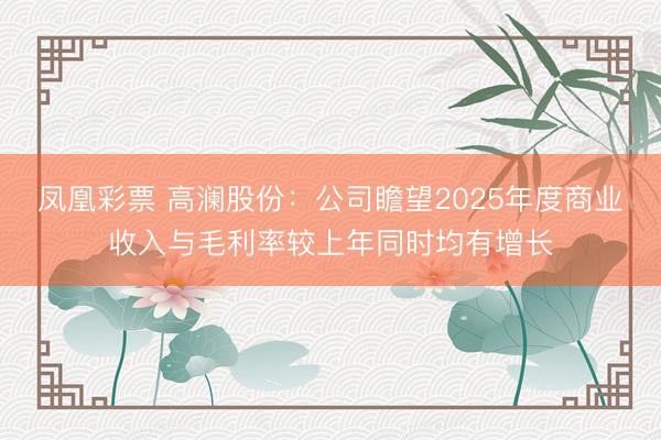 凤凰彩票 高澜股份：公司瞻望2025年度商业收入与毛利率较上年同时均有增长
